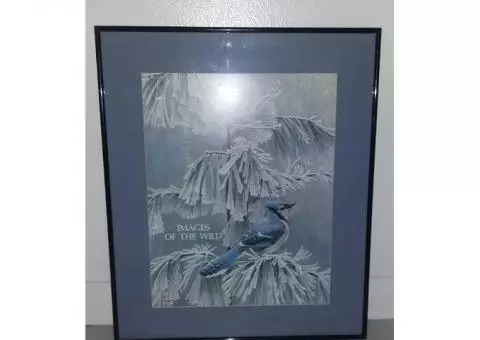 Framed print Images of the wild by Robert Bateman